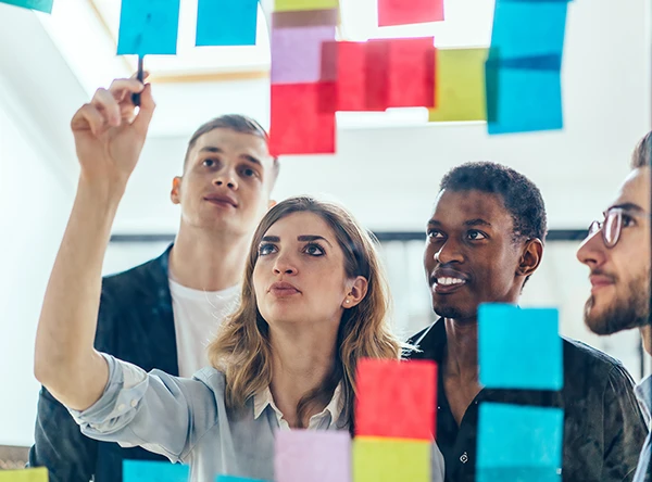 quidgest trainee programme